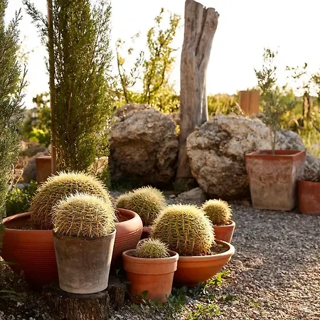 Sunset No: 23 Hébergement de vacances *