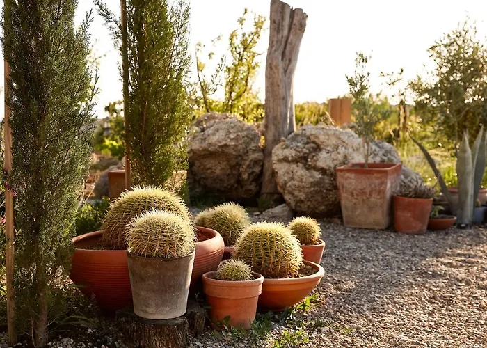 Sunset No: 23 בית נופש *